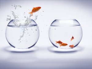 订阅经济十大痛点及破解之道